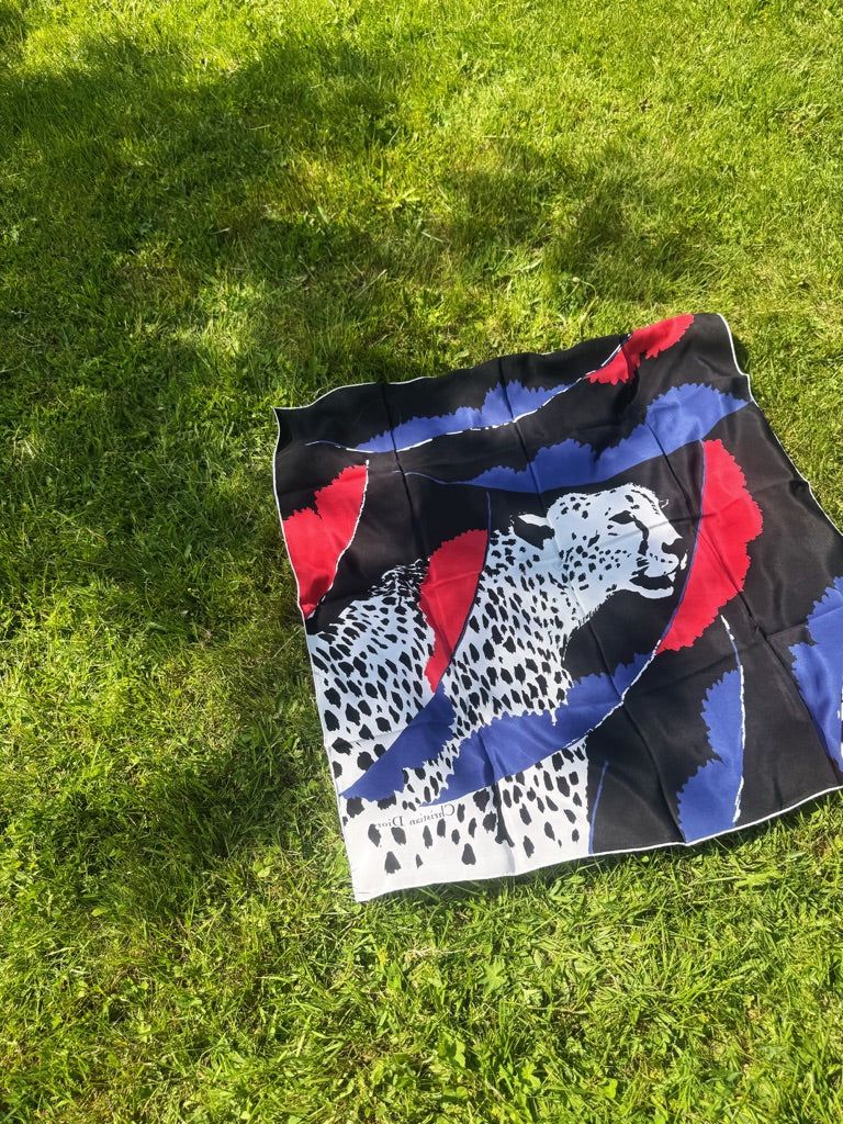 Foulard Christian Dior